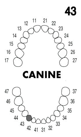 CANINE 4.3