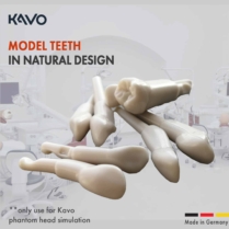 Kavo-on-website