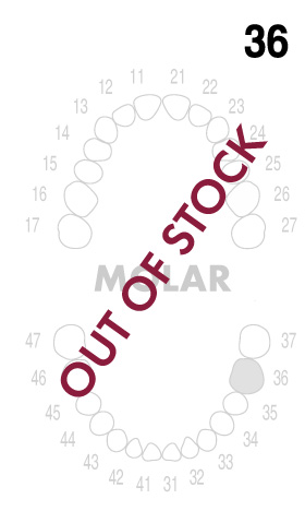 MOLAR 3.6