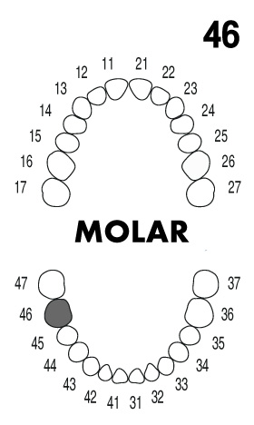MOLAR 4.6