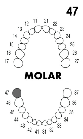 MOLAR 4.7
